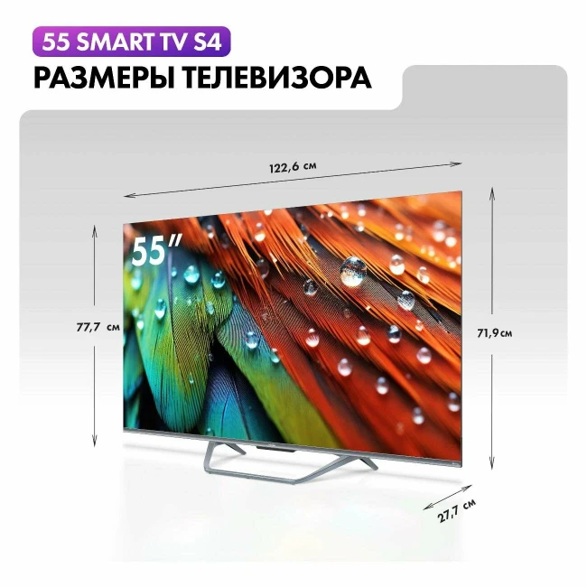 Телевизор Haier 55 Smart TV S4 - фото5