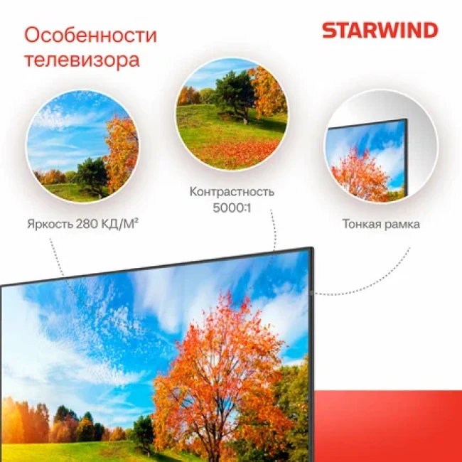 Телевизор StarWind SW-LED65UG402 - фото5