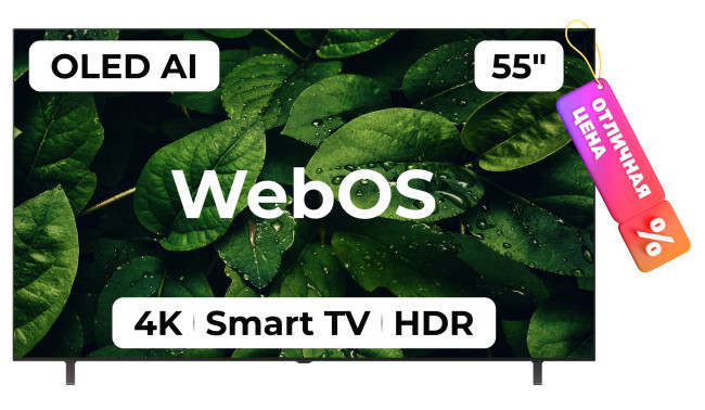 Телевизор LG OLED AI B5 OLED55B5RLA - фото2