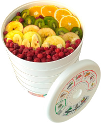 Сушилка для овощей и фруктов Renova DVN31-500/5 - фото3
