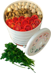 Сушилка для овощей и фруктов Renova DVN31-500/5 - фото6