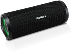 Портативная акустика Toshiba TY-WSP102 - фото