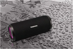 Портативная акустика Toshiba TY-WSP102 - фото3