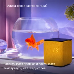 Умная колонка Яндекс Станция Миди (оранжевый) - фото9